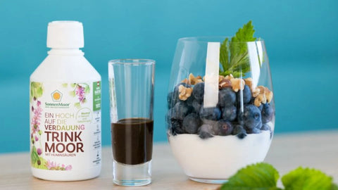 Beeren Joghurt Smoothie - SonnenMoor