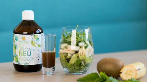 Grüner Smoothie - SonnenMoor