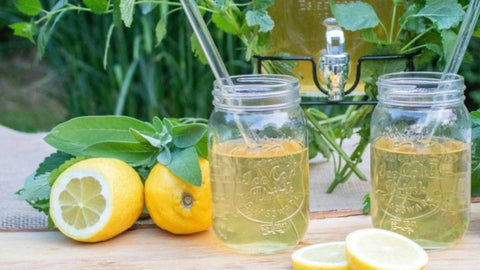 Magenwohl-Eistee - SonnenMoor