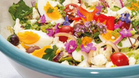 Sommersalat mit BIO-Bitterstoffen - SonnenMoor