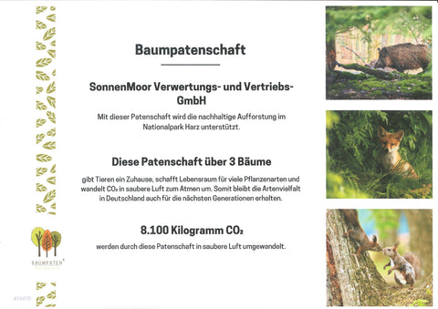 Baumpaten_SonnenMoor