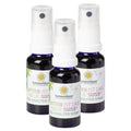 Bitterstoffe Spray Vorratspack 3x 20ml