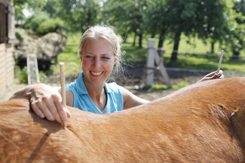 Dr. med. vet. Tanja Dölle-Haßpacher mit ihrem Pferd