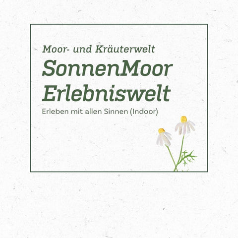 Fuehrungen_Folder