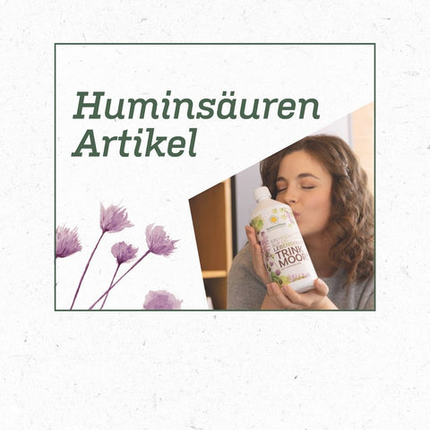 Huminsaeuren