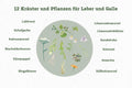 Kraeuter_Lemison_Aufzaehlung