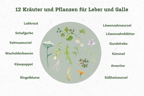 Kraeuter_Lemison_Aufzaehlung