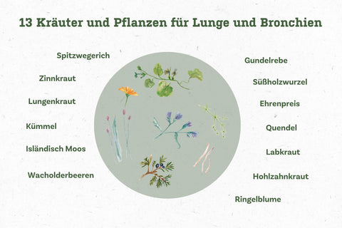 Kraeuter_Lumison_Aufzaehlung