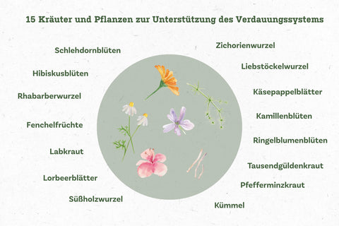 Kraeuter_Veroson_Aufzaehlung