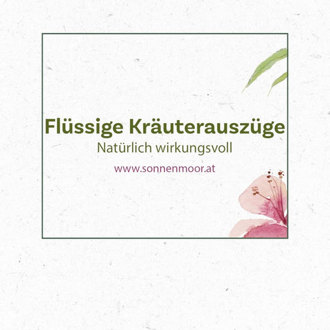 Leporello_Kraeuterauszuege