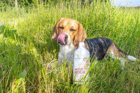 Naturmoor für Tiere 1000 ml SonnenMoor