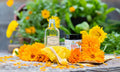 Ringelblumencreme 25 g SonnenMoor