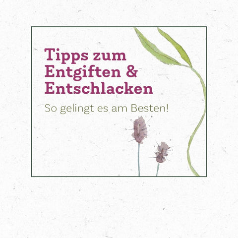 Tipps_zum_Entschlacken_2024