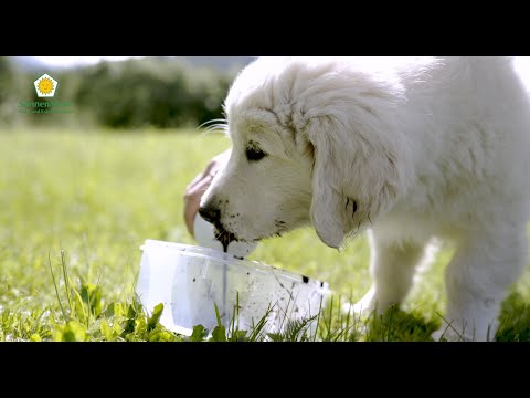 Naturmoor für Tiere 1000 ml