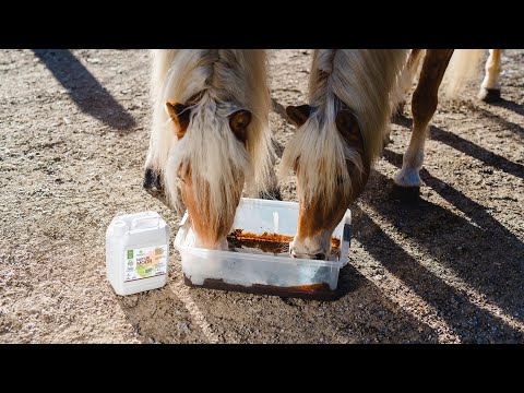Naturmoor für Tiere 5 l